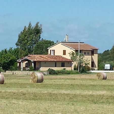 Agriturismo Podere La Cascata Villa Massa Marittima Ngoại thất bức ảnh