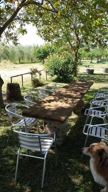 Agriturismo Podere La Cascata Villa Massa Marittima Ngoại thất bức ảnh